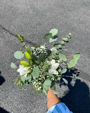 Tencel, Eucalyptus en Lyocell: Wat is het, is het hetzelfde en is het duurzaam?