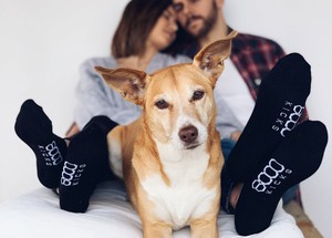 Ankle Socks from 8000kicks