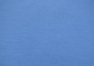Organic cotton regular fit t-shirt KOS in blue from AFORA.WORLD