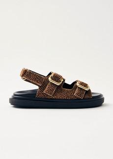 Harper Soft Tan Leather Sandals via Alohas