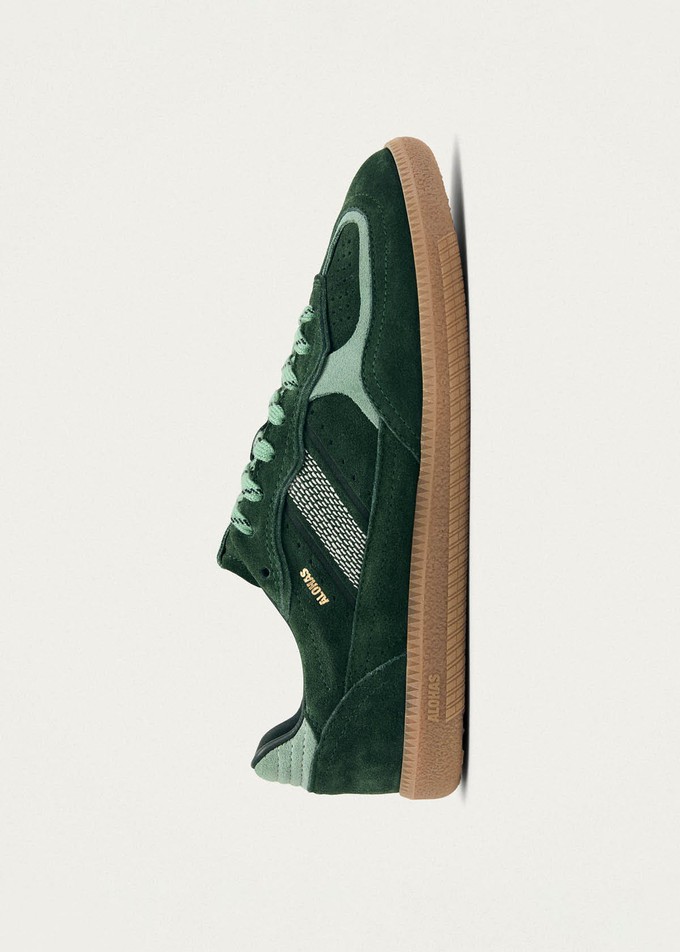 Tb.490 Rife Green Tones Leather Sneakers from Alohas