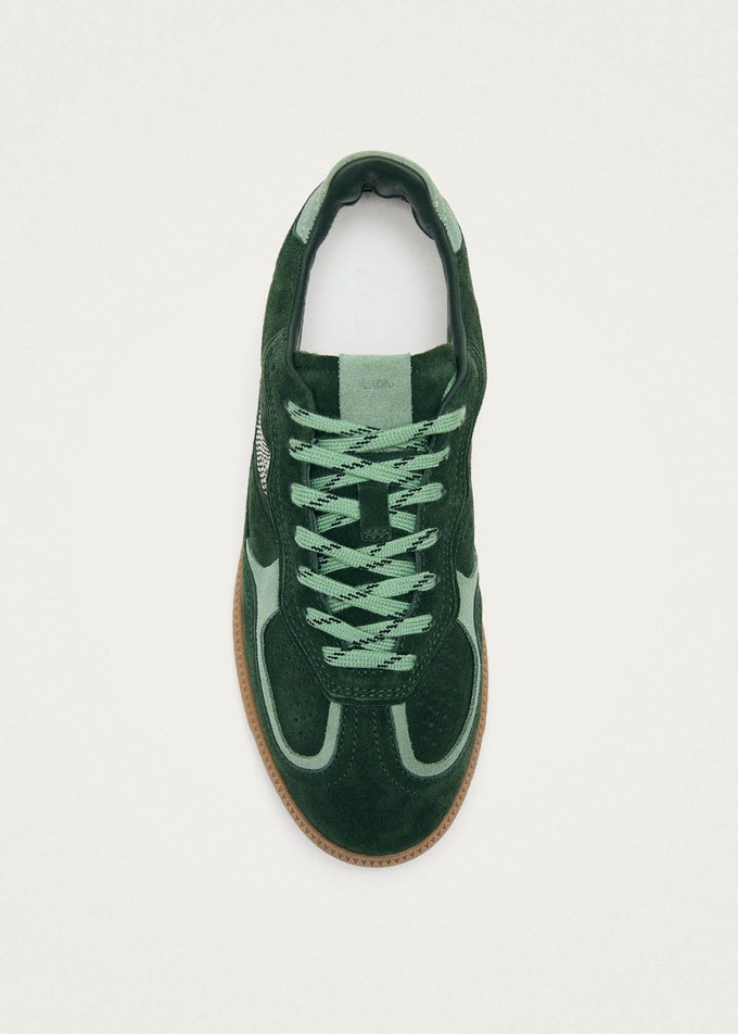 Tb.490 Rife Green Tones Leather Sneakers from Alohas