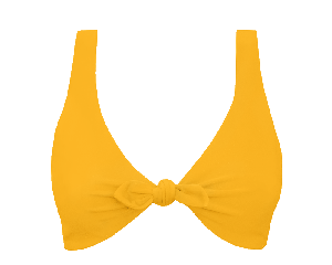 Line Bikini Top from Anekdot