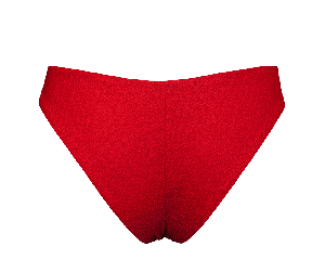 Geranium / Skyline Slim Bikini Bottom from Anekdot