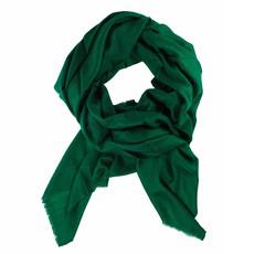 Large Green Cashmere Shawl with Frayed Edges van Asneh