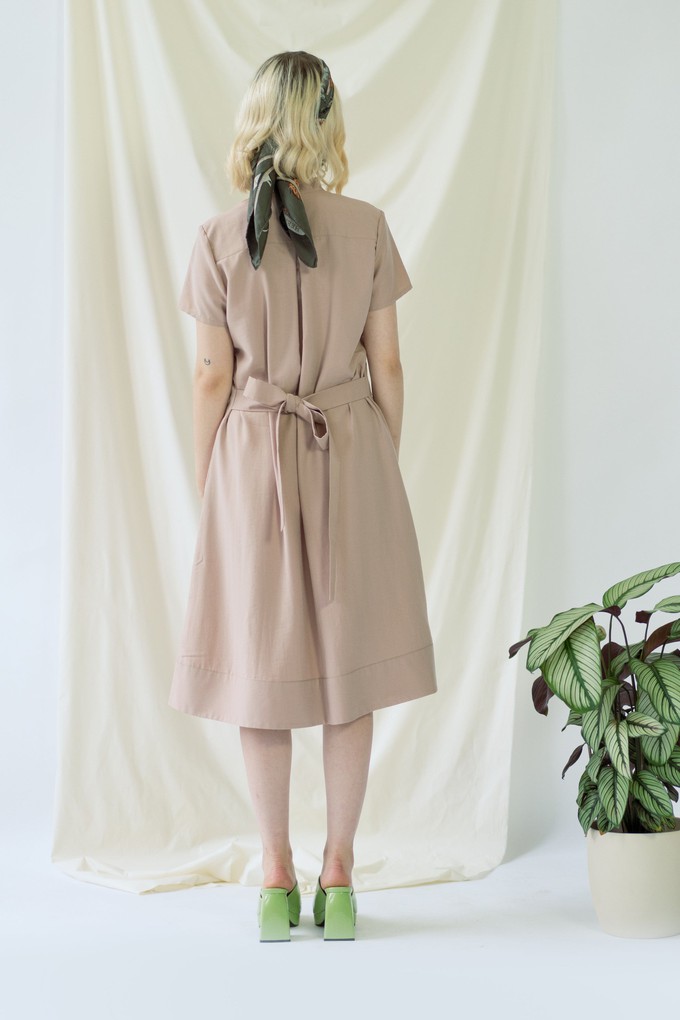 Melanie | Shirt Dress with short sleeves in rose from AYANI