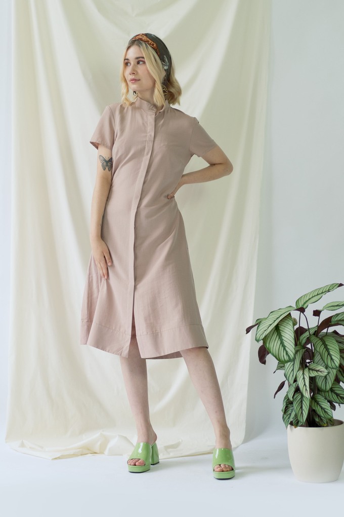 Melanie | Shirt Dress with short sleeves in rose from AYANI