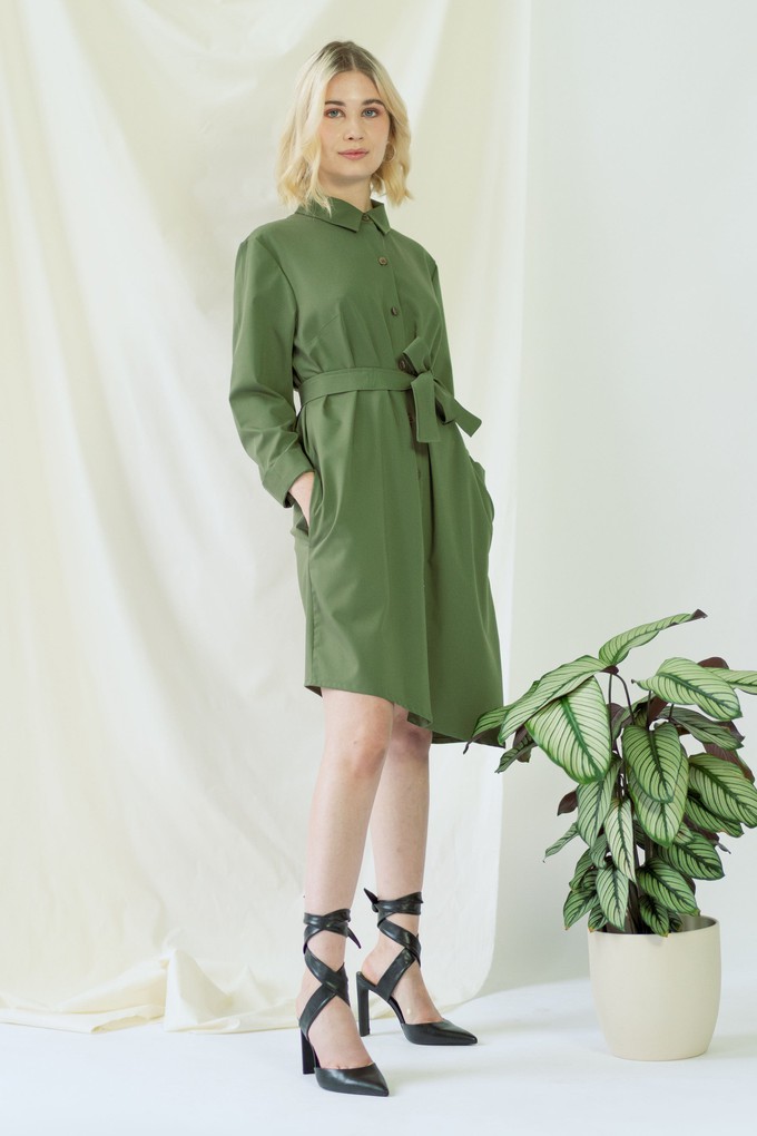 Zabel | Belted shirt dress in olive green from AYANI