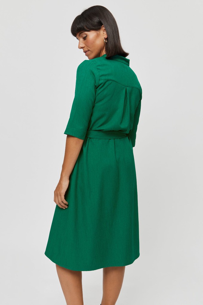 Lidia | Shirt Dress in Green from AYANI