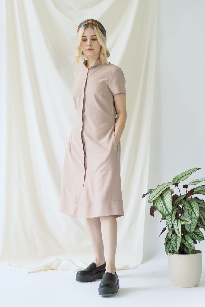 Melanie | Shirt Dress with short sleeves in rose from AYANI