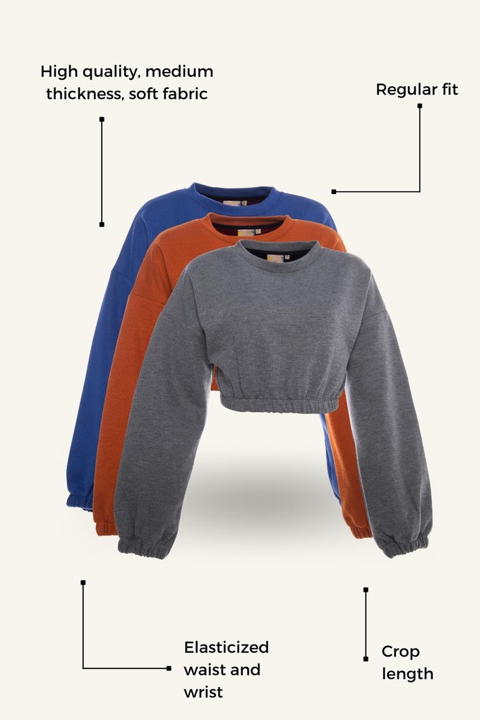 Fresh Crop Top Sweatshirt from Bee & Alpaca