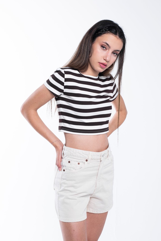 Ribbed Striped Crop T-Shirt from Bee & Alpaca