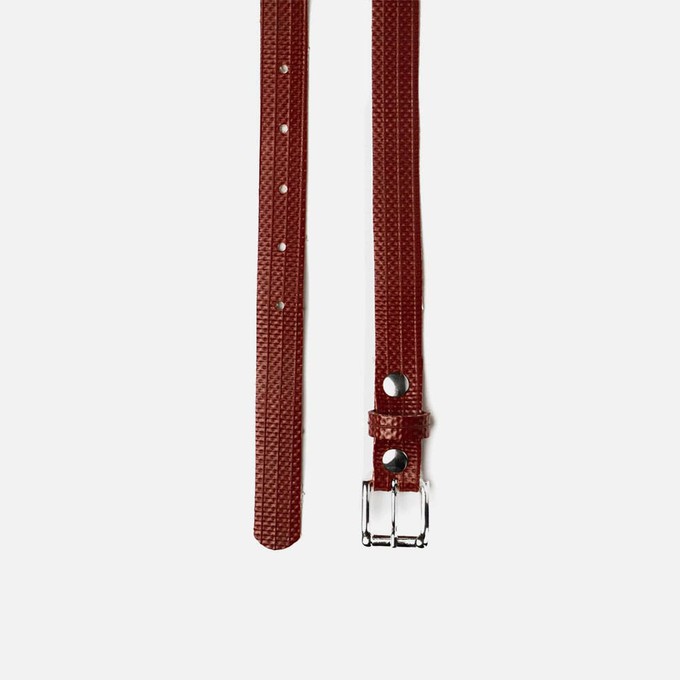 Bendl Flame- Brandslang ceinturen 2cm from BENDL