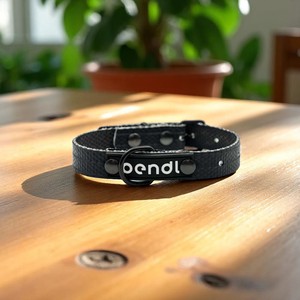  Spike – Zwarte hondenhalsband van brandslang from BENDL