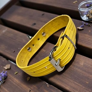  Toeter – Gele hondenhalsband van brandslang from BENDL