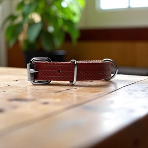 ❤️ Vonkie – Rode hondenhalsband van brandslang from BENDL