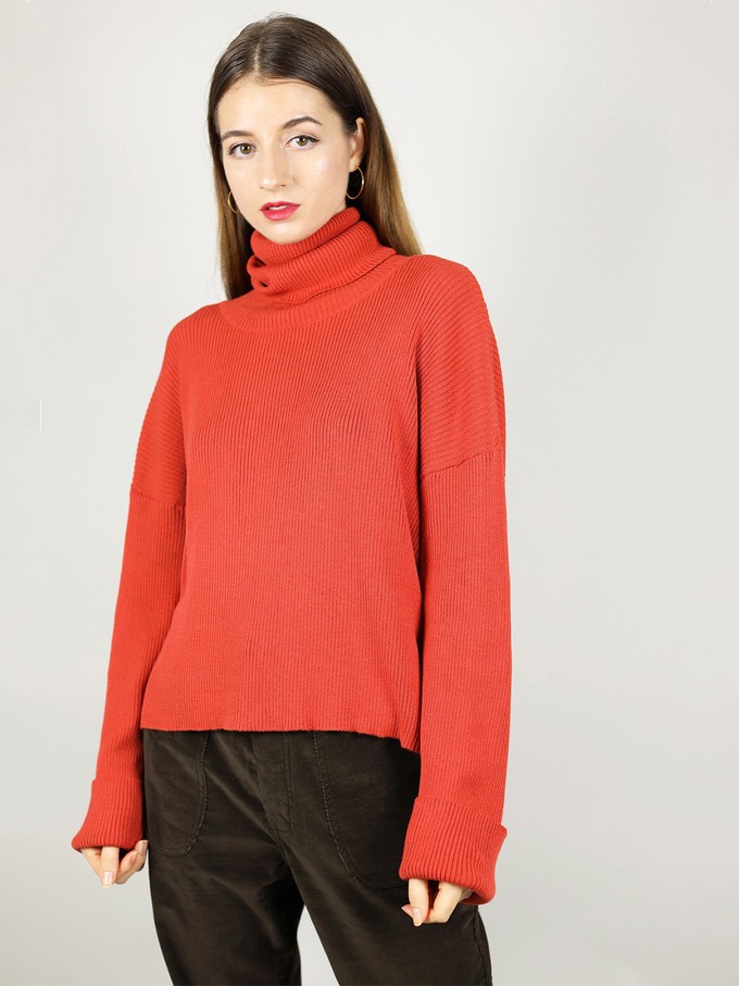 Cosy Knitted Turtleneck Jumper, Upcycled Yarn, in Red from blondegonerogue
