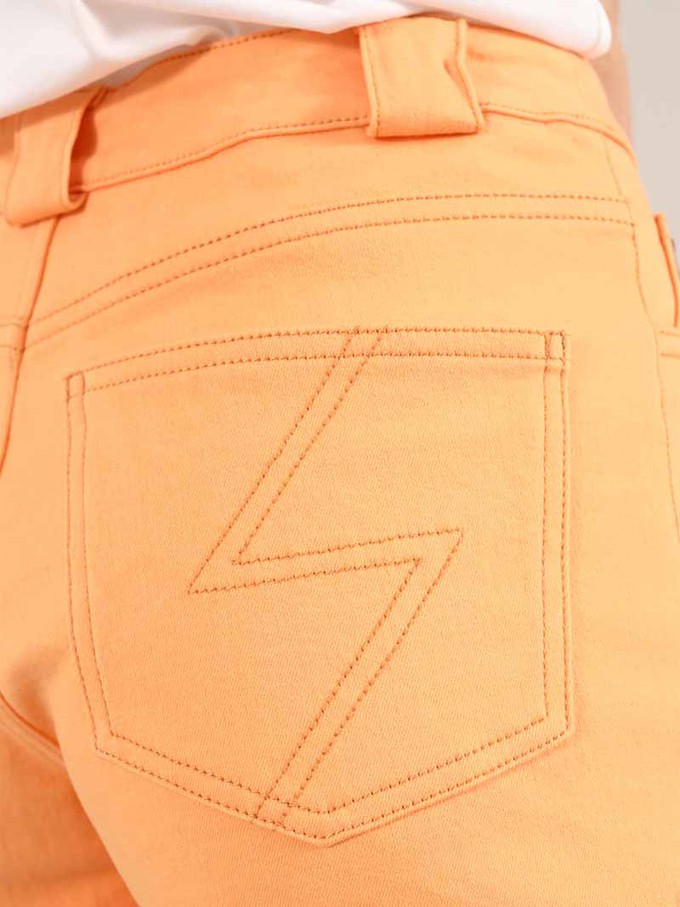 Rogue Shorts, Organic Cotton, in Preach Orange from blondegonerogue