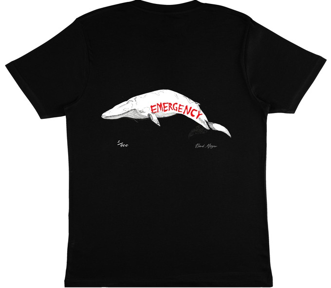 Whale Emergency T-Shirt from Bond Morgan