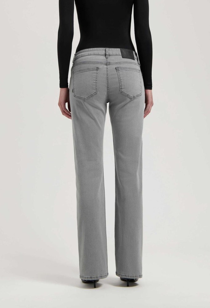 Carry straight jeans - light grey from Brand Mission