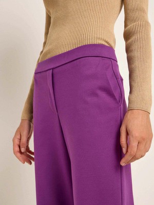 Pantalon jersey - violet from Brand Mission