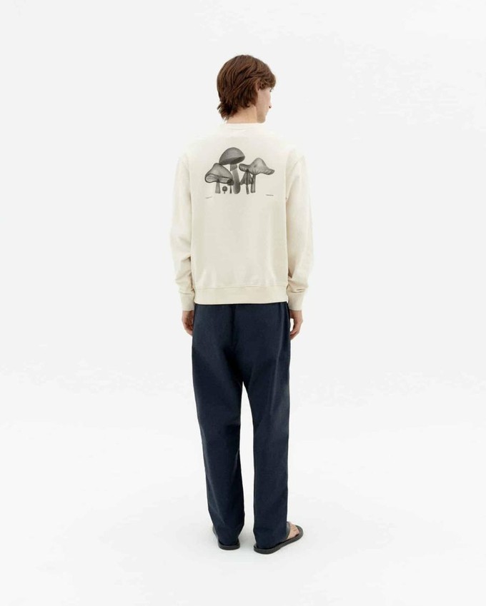 Leon sweater - funghi from Brand Mission