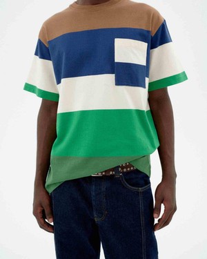 Aaron t-shirt - land stipes from Brand Mission