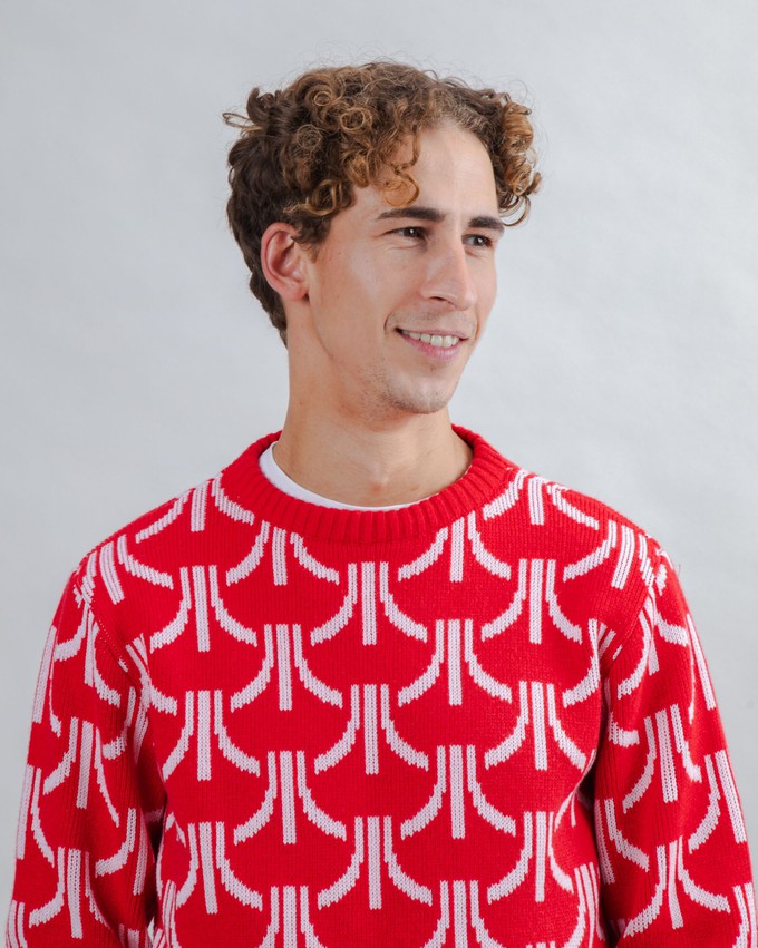 Atari Sweater Monogram Jacquard from Brava Fabrics