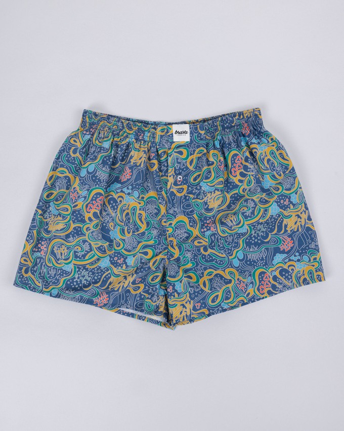 Noodles Boxer from Brava Fabrics