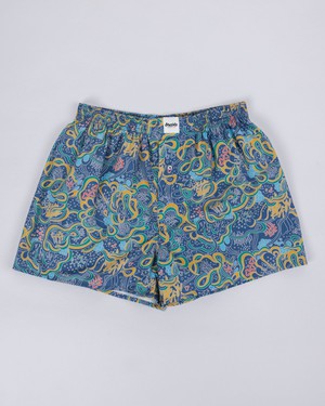 Noodles Boxer from Brava Fabrics