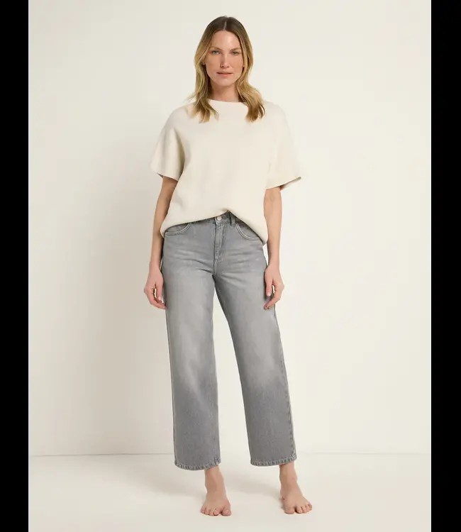 LANIUS •• Relaxed Jeans GOTS | Light Grey Denim from De Groene Knoop