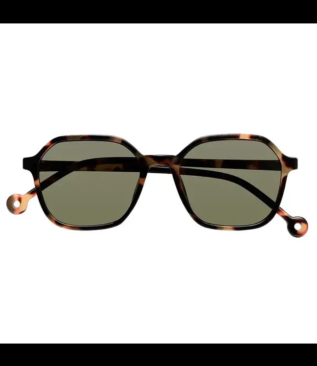 PARAFINA •• Valle | Tortoise from De Groene Knoop