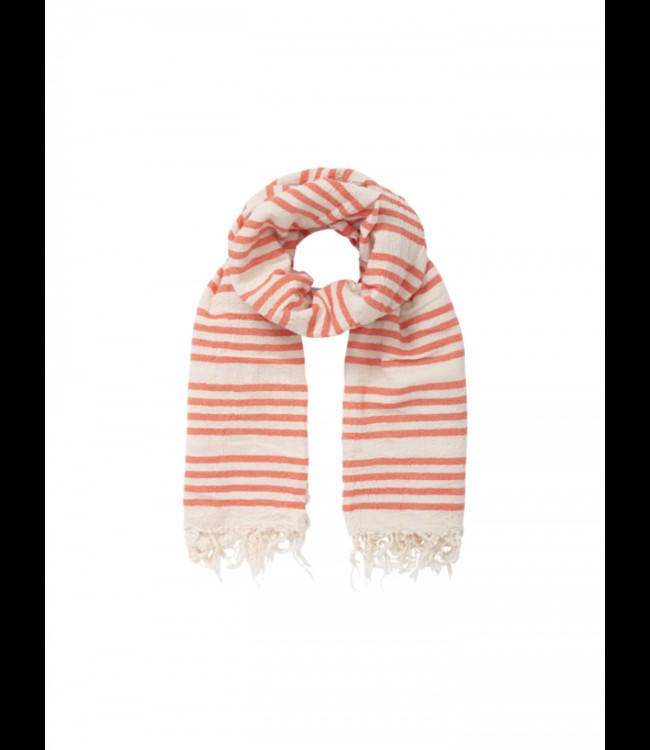 LANIUS •• GESTREEPTE SJAAL from De Groene Knoop