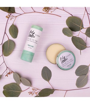 WE LOVE THE PLANET Natuurlijke deodorant  stick | Mighty Mint from De Groene Knoop