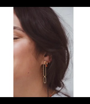 JULES BEAN •• OORBELLEN SPICY from De Groene Knoop