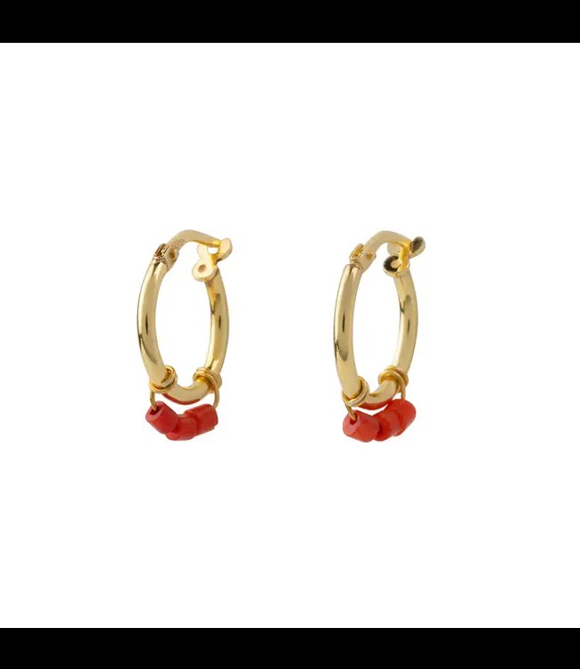 JULES BEAN •• OORBELLEN SPICY from De Groene Knoop