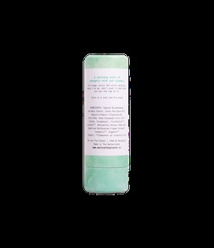 WE LOVE THE PLANET Natuurlijke deodorant  stick | Mighty Mint from De Groene Knoop