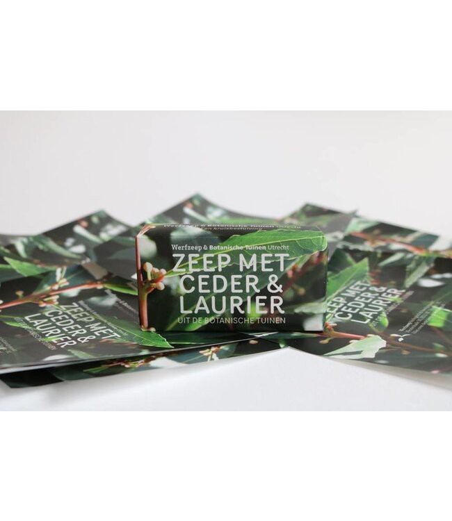 WERFZEEP •• Botanische Tuinenzeep - ceder & laurier from De Groene Knoop