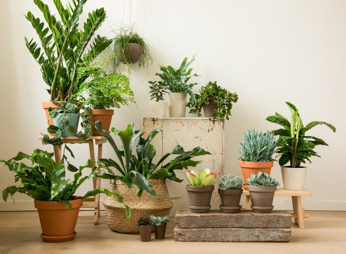 Bloempot, terracotta, Ø 17 cm from Dille & Kamille