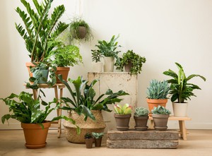 Bloempot, terracotta, Ø 17 cm from Dille & Kamille