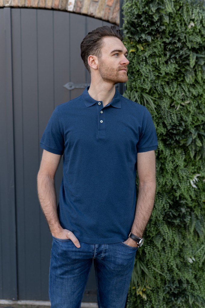 Polo Tom – Deep Blue Mel from Douxx