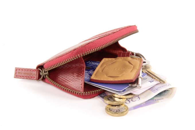 Pocket / Bag Organiser | Printing Blanket & Fire-hose from Elvis & Kresse