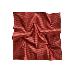 Ruby Fabric Gift Wrap Furoshiki Cloth - Single Sided from FabRap