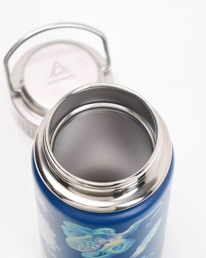 Drinkfles Octopus & Squid (350ml) from Fairy Positron