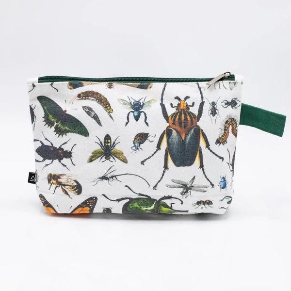 Etui insecten from Fairy Positron