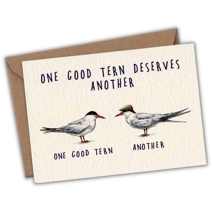 Wenskaart stern "One good tern" from Fairy Positron