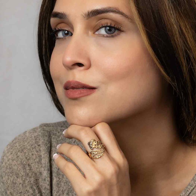 Bronzen ring kwal from Fairy Positron