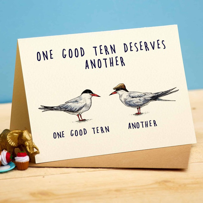 Wenskaart stern "One good tern" from Fairy Positron