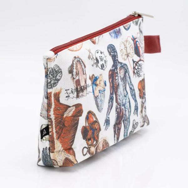 Etui anatomie from Fairy Positron