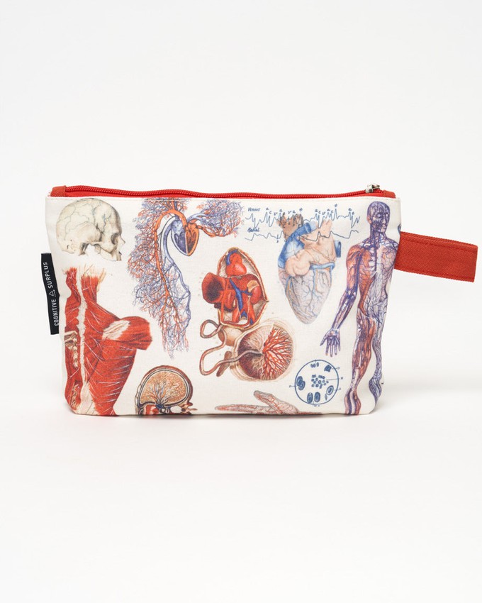 Etui anatomie from Fairy Positron